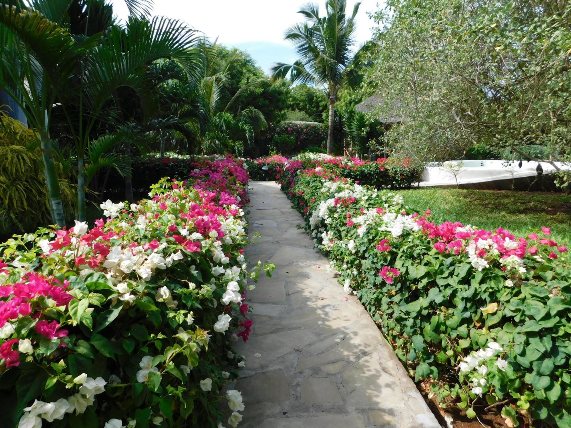 Dama Villa Watamu Ngoại thất bức ảnh